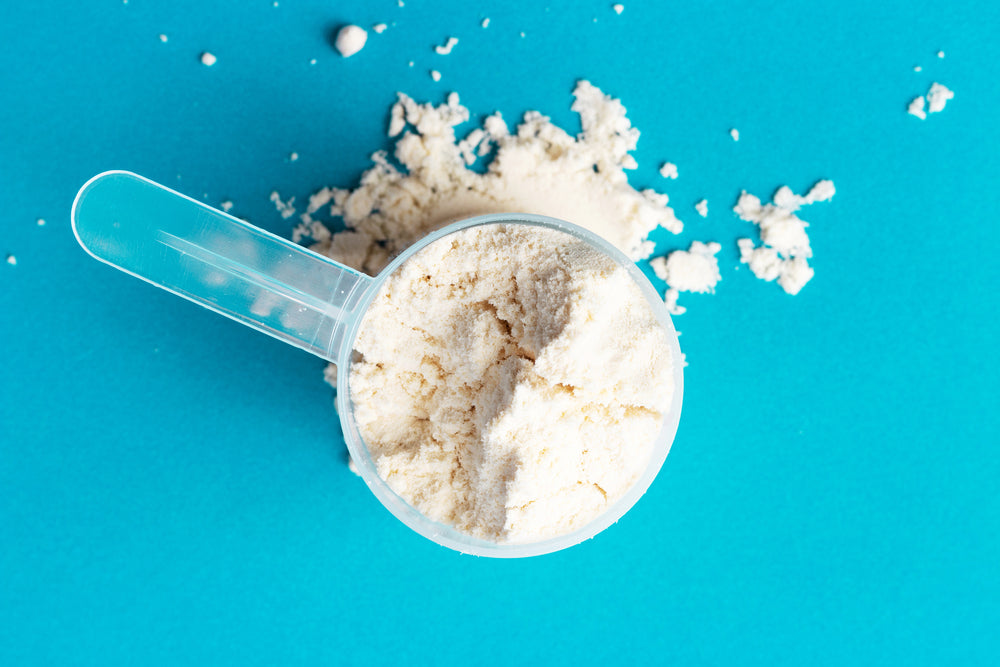 Why You Should Choose Vanilla Whey Protein Powder