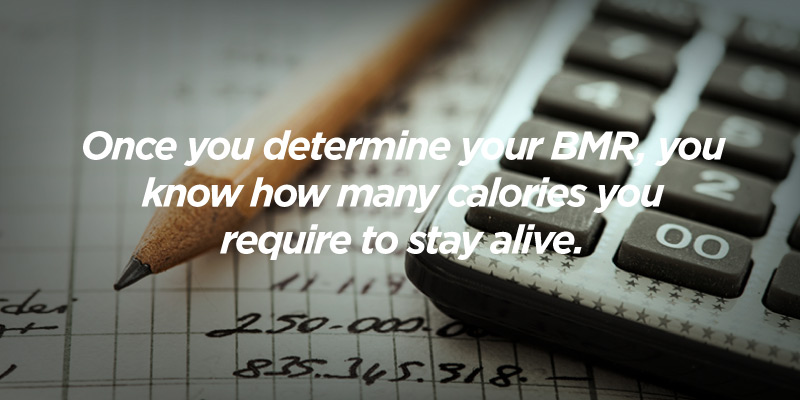 How To Calculate Bmr For Weight Loss