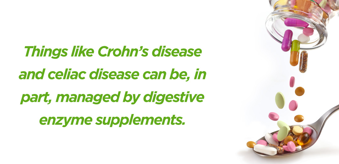 Your Guide to Digestive Enzymes Performance Inspired Nutrition