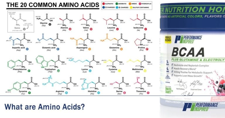 PI Nutrition: Definition of Amino Acids