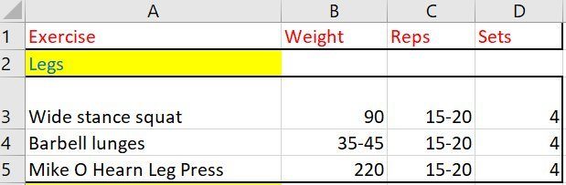 spreadsheet with exercises reps sets and weight