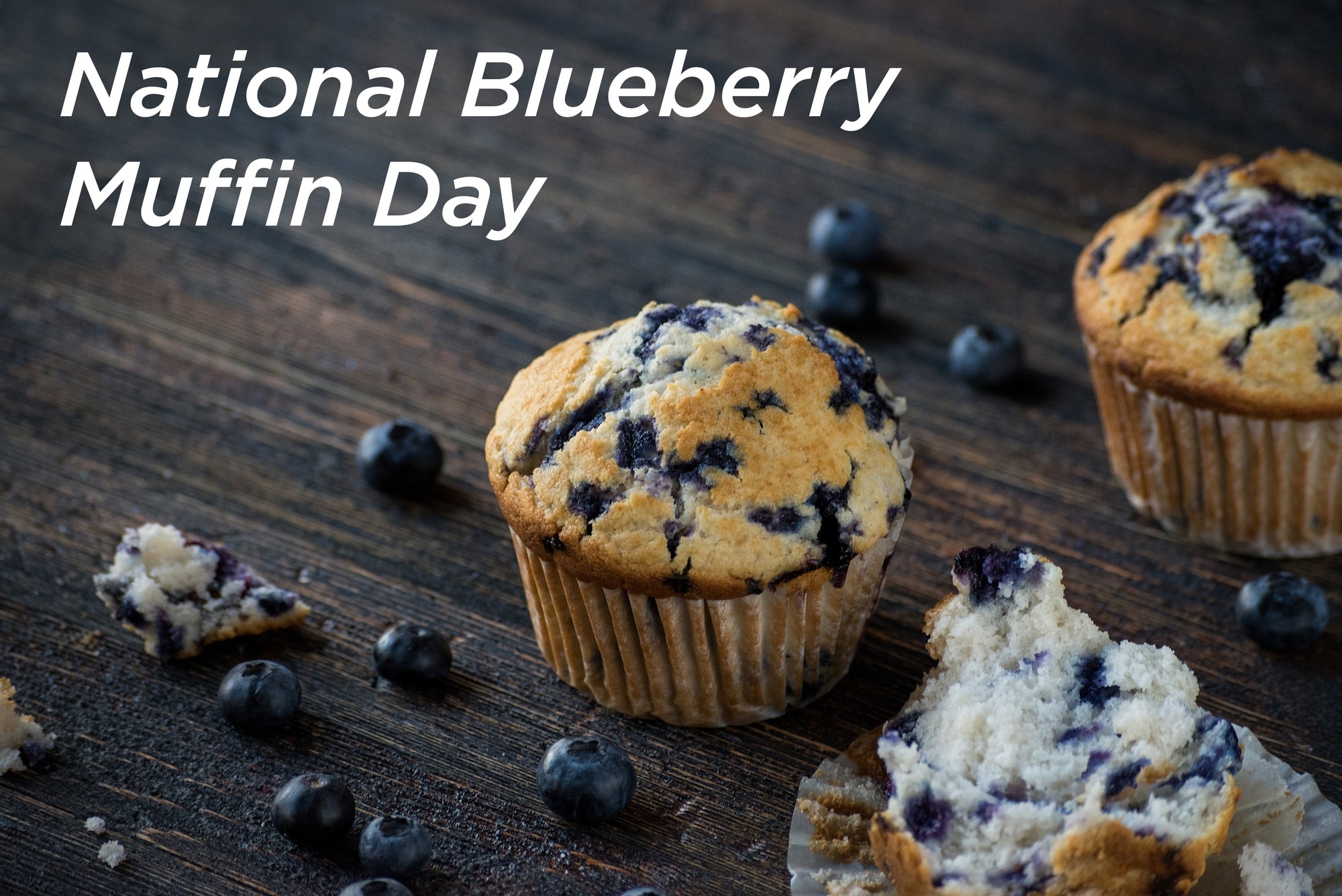 Blueberry Protein Muffin Recipe Easy To Make Whey Muffins 