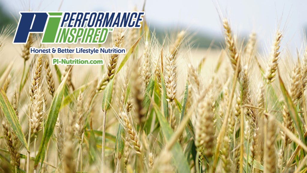 PerformanceInspired BlogPost Whole Grains 1920x1080